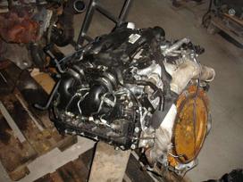 Land Rover Range Rover, 448DT, engine parts