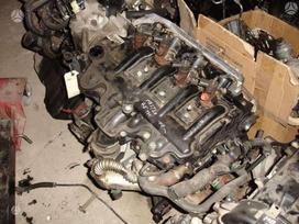 Nissan Primastar variklio detalės