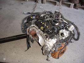 Opel Astra, B16DTL, variklio detalės