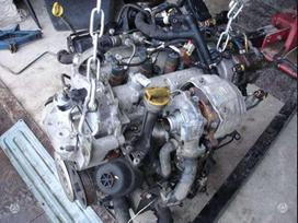 Opel Meriva, z13dth, dzinējs
