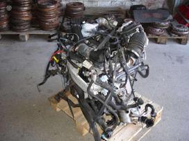 Volkswagen Golf, DTSB, variklio detalės