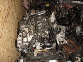 Volkswagen Passat dzinēja detaļas