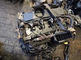 Ford Transit Tik variklis ir dėžė