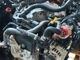 Ford Transit Custom, BJFB, engine