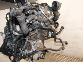 Skoda Octavia Scout, CFH, Variklis cfh