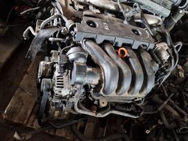 Volkswagen Passat, BLX, Variklis blx