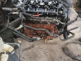 Ford S-MAX, Qxwa