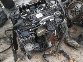 Ford Mondeo, Qxwa