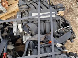 Volkswagen Golf, CMX, Variklis cmx
