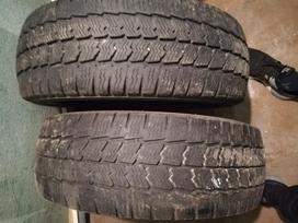 Matador Nordica, universalios 205/60 R16