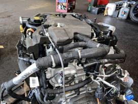 Land Rover Range Rover Velar, PT204, rezerves daļās. Pilnas variklio komplektas iš anglijos 34000 myli