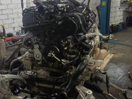 Land Rover Range Rover двигатель