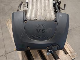 Kia Magentis, G6BV, engine
