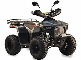 QWMOTO TIGER FORST 125 125cc, квадроциклы