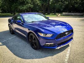 Ford Mustang Ford mustang ecoboost dalimis
