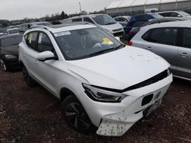 MG ZS dalimis