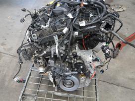 BMW 5 serija, B48B20A, Variklis prabeges 60000km turime ir dalimis