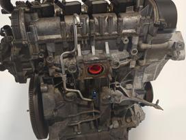 Volkswagen Golf, CHP, engine