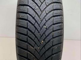 Semperit Speed Grip 5 2022m, winter 195/55 R16