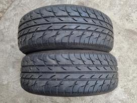 Tigar Syneris, vasarinės 205/55 R16