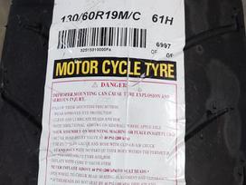 Dunlop D254, summer 130/60 R19