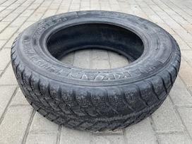 Nokian Hakkapeliitta, žieminės 195/65 R15