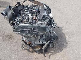 Audi Q5, DET, variklis