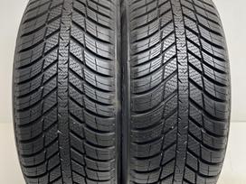 Nexen N-Blue 4Season 2021m, universalios 195/55 R16