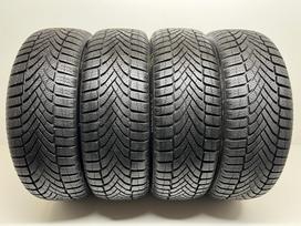 Falken EuroWinter HS02 2022m, žieminės 205/60 R16