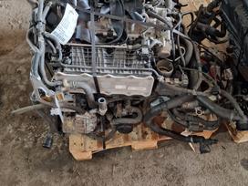 Volkswagen Golf, CPV, Variklis cpv