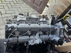 Ford Transit, YMF6, variklis