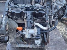Volkswagen Golf, variklio kodas cay