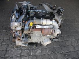 Ford Fiesta Variklis 1 6d t3ja