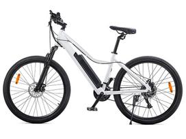 Electric bike Beaster