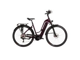 Other bike Kross