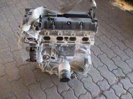 Ford Focus Variklis 1 6b pnda