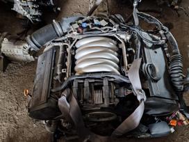 Audi A6, BDV, Variklis bdv