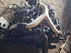Audi A6 allroad, AJK, Variklis ajk