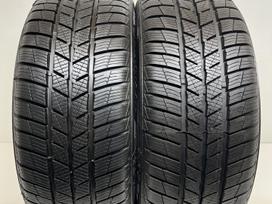 Barum Polaris 5 2021m, žieminės 205/50 R17