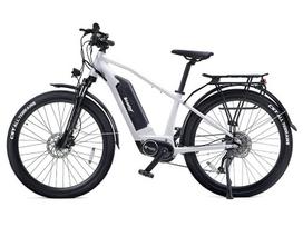 Electric bike Beaster