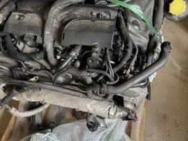 Jaguar XF, 306DT, engine