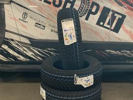 Barum Polaris 6, winter 185/65 R15
