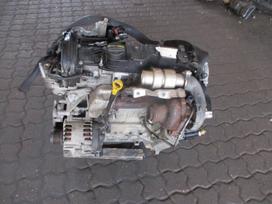 Ford Focus Variklis 1 6d t1db