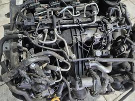 Volkswagen Tiguan, Cff, gearbox