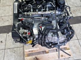 Volkswagen Golf, Ddy