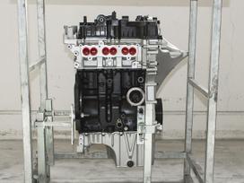 Ford Focus engine