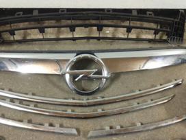 Opel Insignia sparnai