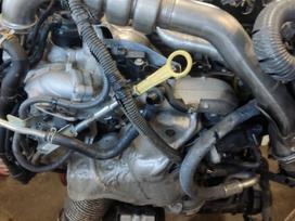 Nissan Navara, YS23 jatco oorp re7r01b xo49c 1618843 4j