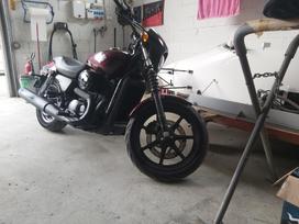 Harley-Davidson XG500, street / classic