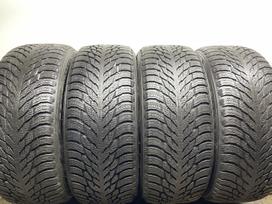 Nokian Hakka R3, žieminės 255/50 R20